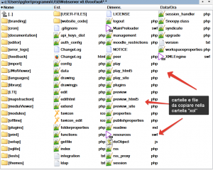 file scompressi